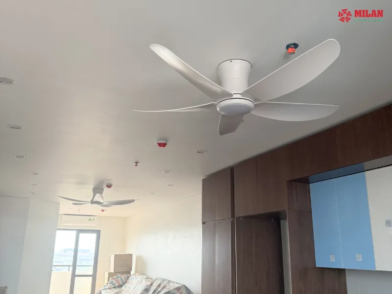 Khách hàng lắp thử 2 mẫu quạt trần cho chung cư mini.